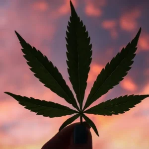 Productos en General